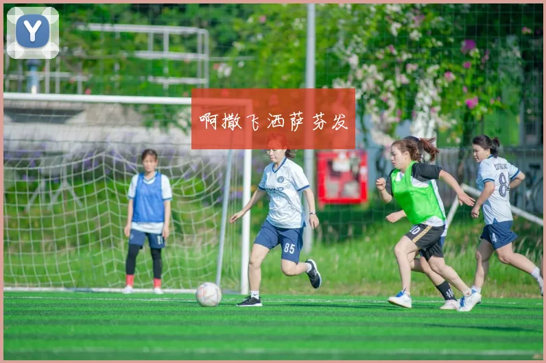 伊朗足球队员名单公布 备战国际比赛阵容看点集中